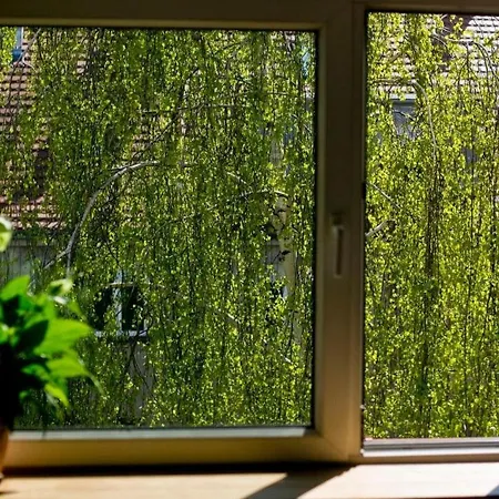 Leveloft - Przestronny, Stylowy Na Zielonej Ulicy W Centrum Wrocław