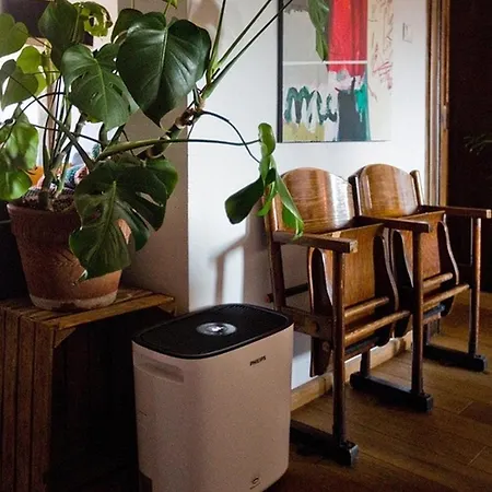 Leveloft - Przestronny, Stylowy Na Zielonej Ulicy W Centrum Apartment